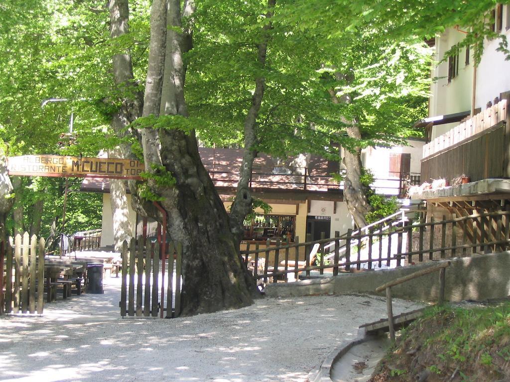 Albergo Ristorante Montecucco Da Tobia Sigillo Екстериор снимка